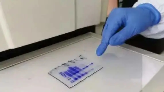 /ueditor/jsp/upload/image/20200320/1584666224018038596.jpg 1.webp.jpg